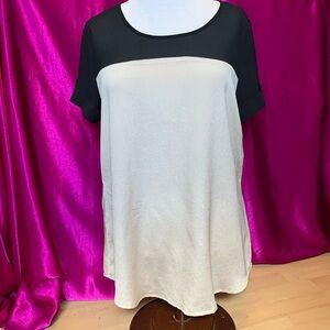 Naked, zebra size, medium, gold, and sheer black top like new